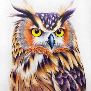 Original Handmade Vibrant Owl Drawing - Colored Pencil Art on Paper.