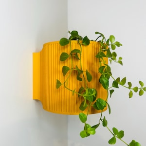 The Brunswick Wall Mounted Pot Planter in Matte Honey Yellow / 2 Sizes / Screw Mounted / No Drainage /