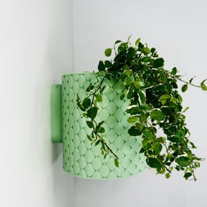 The Hawker Wall Mounted Planter Mounted Planter, Screw Fixtures, 2 Sizes, Multiple Colours