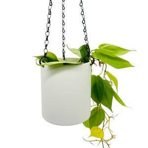 以下が含まれることがあります： チェーンと垂れ下がったつるのある緑の植物が付いた白い吊り下げ式プランター