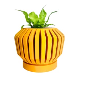 The Reefton Table Top Planter With Drip Tray/Table Top Planter/3 Sizes/Home Decor/Large Colour Range