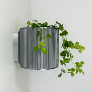 May include: A silver metal wall planter with a ribbed design, holding a green plant with trailing vines.