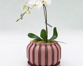 Theodore Orchid Planter with Drip Tray, 24 Colours