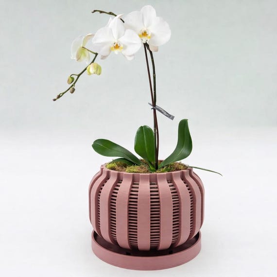 Theodore Orchidee Pflanzgef mit Auffangschale, 24 Farben - Etsy sterreich
