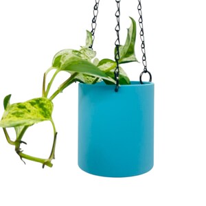 May include: A blue hanging planter with a chain and a green plant with white variegation.