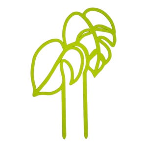 Plant Trellis Two Leaf Monstera Plant - Multiple Colours