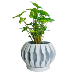 The Eltham Table Top Planter With Drip Tray/Table Top Planter/3 Sizes/Home Decor/Large Colour Range