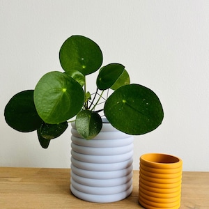 May include: Two ceramic plant pots, one light blue and one yellow, with a green plant in the blue pot. Both pots are cylindrical and have a ribbed texture.
