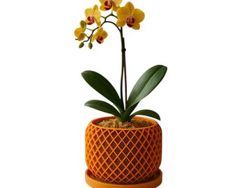 May include: A yellow orchid plant with red centers in a bright orange, geometric patterned pot with a matching saucer.