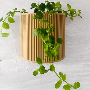 The Brunswick Wall Mounted Pot Planter in Beige / 2 Sizes / Screw Mounted / No Drainage /