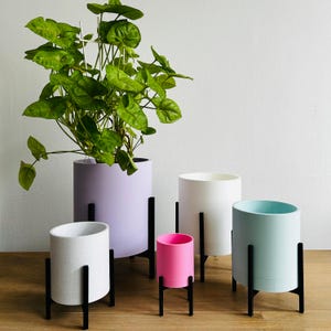 The Magnolia Planter // Plant Stand & Planter and Hidden Drip Tray // 4 Sizes // Large Colour Range