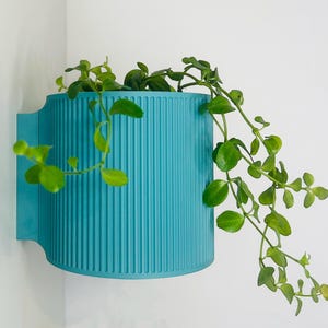 The Brunswick Wall Mounted Pot Planter in Teal // 2 Sizes // Screw Mounted // No Drainage