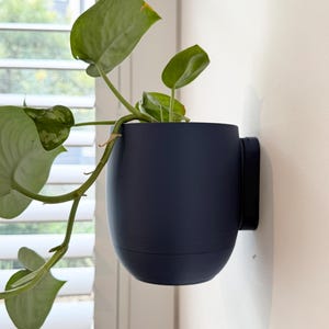 The Fitzroy Wall Mounted Pot Planter // Attach with screws // 3 Sizes // Multiple Colours