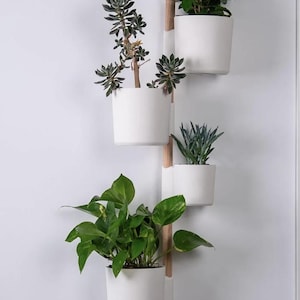 Wand Montiert Übertopf | 4 Übertöpfe | Moderner vertikaler Garten, 24 Farboptionen