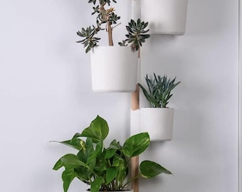 May include: A wall-mounted planter featuring four white plant pots, each containing different green plants. The pots are fixed to a wooden and white ladder-style frame. The plants include leafy and succulent varieties.