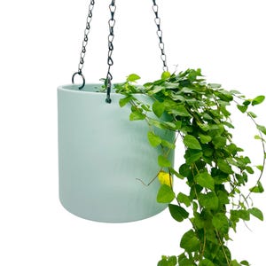 Könnte beinhalten: Ein hellblauer Hängepflanztopf mit einer Kette und einer grünen Pflanze, die herunterhängt.