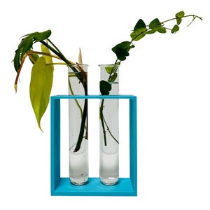 May include: Two clear glass test tubes with green plant cuttings in water, held in a bright blue metal frame.