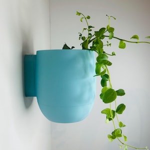 The Fitzroy Matte Turquoise Wall Mounted Pot Planter // Attach with screws // 3 Sizes