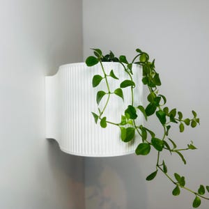 The Brunswick // Wall Mounted Pot Planter // 2 Sizes // Screw Mounted // No Drainage // Multiple Colours