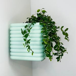 The Charlton Wall Mounted Planter // Screw Fixtures // 2 Sizes