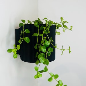 The Brunswick Wall Mounted Pot Planter in Black// With Drainage Holes // Screw Mounted // 2 Sizes