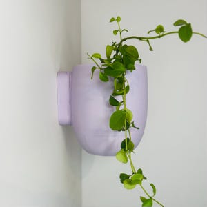 Puede incluir: Un macetero de color lavanda montado en la pared con una planta verde colgante. El macetero tiene una forma redondeada y una superficie lisa.