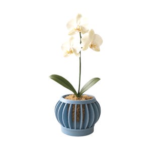 Ezra Orchid Planter with Ventilation – Modern Indoor Plant Pot, 2 Sizes, 24 Colors, Airflow Design for Healthy Roots