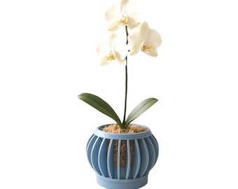 Ezra Orchid Planter: Modern Airflow Plant Pot, 24 Colors