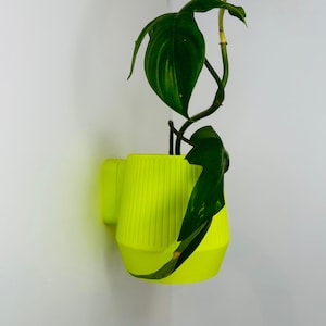 Vertical Stripe Wall Mounted Pot Planter // 3 Sizes // Multiple Colours