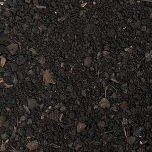 May include: Close-up of dark brown soil with small rocks and pieces of bark.