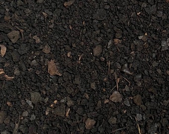 Black Walnut Hull 1 lb (16 oz) Over 200 Bulk Herbs!