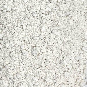 Diatomaceous Earth FOOD GRADE 4 oz. Over 200 Bulk Herbs!