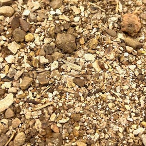 Wild Yam Root 4 oz. Over 200 Bulk Herbs!