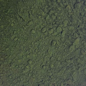 Chlorella Powder 1 lb (16 oz) Over 200 Bulk Herbs!