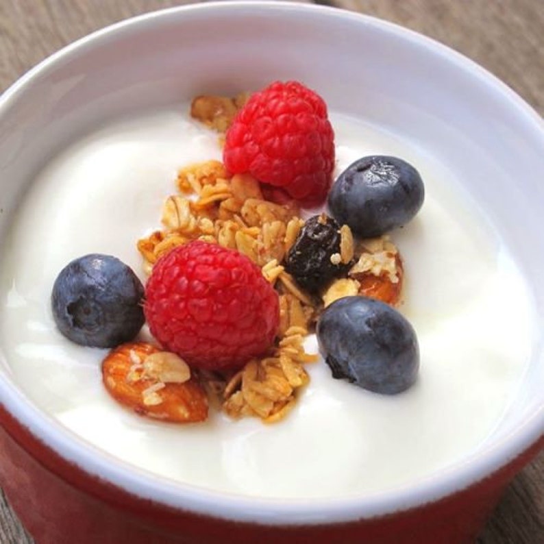 Viili Yogurt Starter Culture ORGANIC Etsy