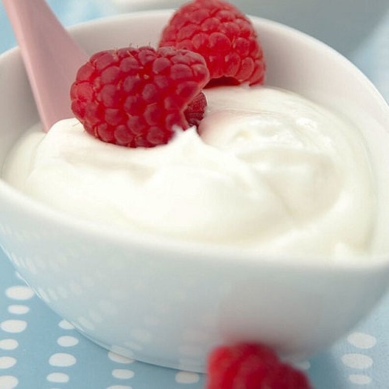 Greek Yogurt Starter Culture ORGANIC Etsy