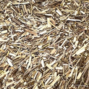Vervain 4 oz. Over 200 Bulk Herbs!