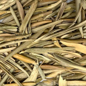 Olive Leaf Whole 4 oz. Over 200 Bulk Herbs!