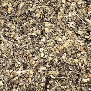 Mullein Leaf 1 lb (16 oz) Over 200 Bulk Herbs!