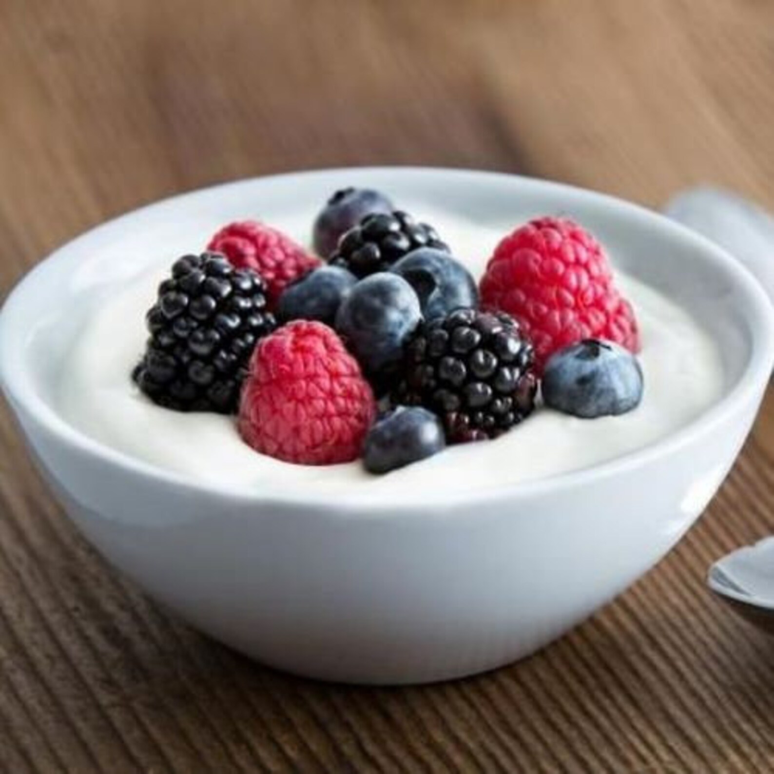 Caspian Sea Yogurt Starter Culture matsoni ORGANIC Etsy