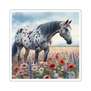 Sticker champ de fleurs cheval Appaloosa - Décoration équestre