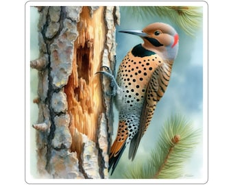 Adesivi Flicker Bird, set di adesivi Woodland, regalo per amanti della natura, decalcomanie per birdwatcher, adesivi per uccelli sugli alberi, decorazioni per avventure all'aria aperta