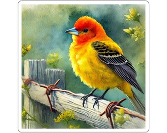 Adesivi per uccelli, design Western Tanager, decalcomanie per la fauna selvatica, regalo per gli amanti della natura, accessori per birdwatcher, decorazioni per avventure all'aria aperta