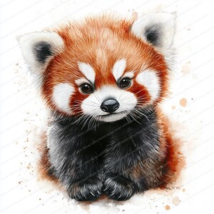 K&ouml;nnte beinhalten: Ein Aquarellbild eines Roten Pandas mit einem wei&szlig;en Gesicht und schwarzen Markierungen. Das Junge sitzt auf einem hellbraunen Hintergrund mit braunen Aquarellspritzern.