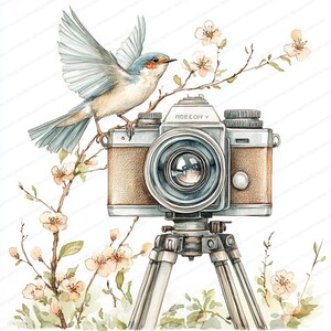May include: Watercolor illustration of a vintage camera on a tripod, with a bird perched on a branch. The camera has a brown leather-like body and a silver lens. Delicate pink blossoms and green foliage surround the camera.