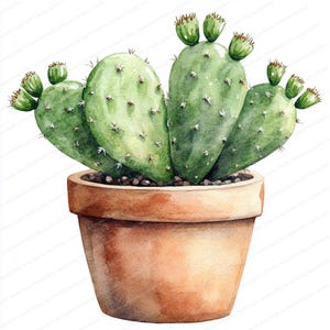 Colección de 22 imágenes prediseñadas de plantas de cactus / Conjunto de arte con suculentas en macetas / Imágenes prediseñadas de acuarela imprimibles / JPG de alta calidad / Manualidades de papel / Diario