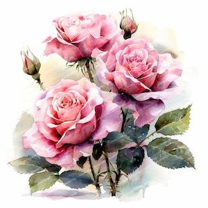 13 Pink Roses Set | Roses bouquet | Printable Watercolor clipart | Digital download | High resolution | Paper craft | junk journals