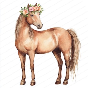 17 Clipart cheval | Des chevaux majestueux | Clipart aquarelle imprimable | JPG de haute qualité | Téléchargement numérique | Créations en papier | Journaux indésirables