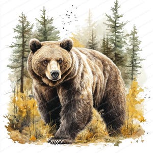 14 Grizzly Bear Clipart | Urso na Floresta | Clipart de aquarela para impressão | JPGs de alta qualidade | Download digital | Artesanato em papel | junk journal