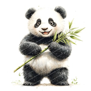 18 Panda Bamboo Eating Clipart / Illustrazione digitale carina della fauna selvatica / Clipart acquerello stampabile / JPG di alta qualità / Download digitale